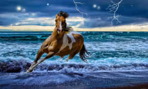 一匹棕色和白色的馬在夜間雷暴中穿過海浪奔跑。