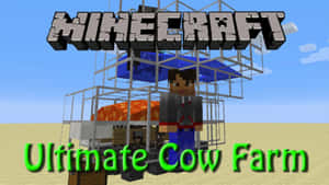 Minecraft玩家在牛農場旁，帶有方塊文字疊加。 — 牛 壁紙