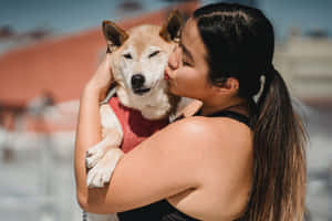 女子在明亮的陽光下深情地親吻柴犬。 — 可愛情人節gif 壁紙