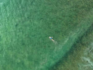 從空中俯瞰，衝浪者在清澈的綠色海水中衝浪 — 淺綠色美學動態圖 壁紙