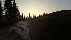 一個人在日落時分在松樹林的泥濘小徑上遠足。 — Dayz GIF 壁紙