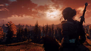 持劍戰士騎在馬上俯瞰日落時的森林 — Xbox GIF 壁紙