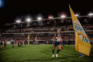 欖球運動員在夜間球場與歡呼的球迷和旗幟慶祝勝利。 — 美景 壁紙
