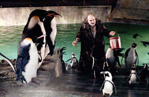 一名身穿深色長袍的男子在水池中的企鵝附近手持一個紅色水桶。 — 蝙蝠俠 壁紙