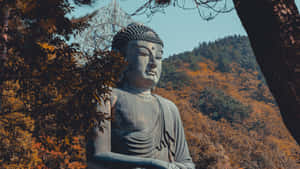 被秋葉和山脈環繞的大型石佛像。 — 韓國 壁紙