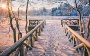日出時結冰湖上的雪木橋，樹木結霜