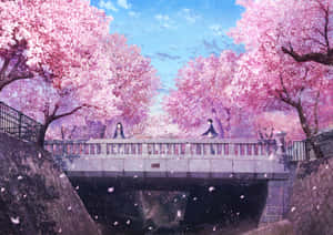 櫻花背景 — 通往泰拉比提亞之橋 壁紙