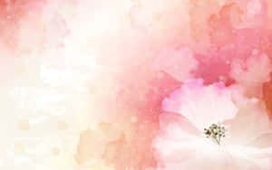 一朵帶有柔軟花瓣和散景背景的粉紅色水彩花。 — 唯美花朵動圖 壁紙