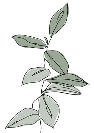 以極簡線條藝術呈現的風格化綠色植物莖葉。 — iPad (A16) 壁紙