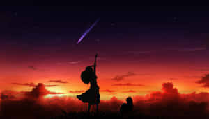女孩和貓在日落時看流星