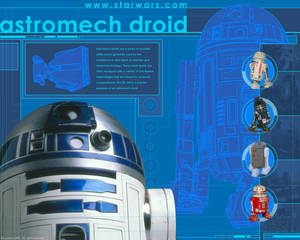 R2-D2和其他星戰宇航技工機器人的藍圖風格插圖。 — 機械人 壁紙