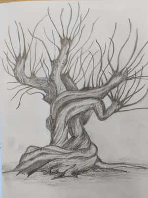 一幅鉛筆畫，描繪一棵光禿扭曲的樹，帶有紋理樹皮和伸展的樹枝。 — iPad Air 13 壁紙