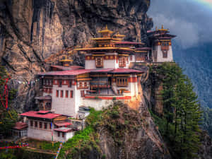 一座佛教寺院坐落在喜馬拉雅山的懸崖上，經幡飄揚。 — 叢林動圖 壁紙