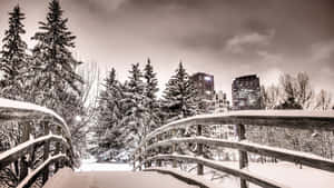 冬季森林中積雪的木橋，背景有城市建築。 — 冬日美學 壁紙
