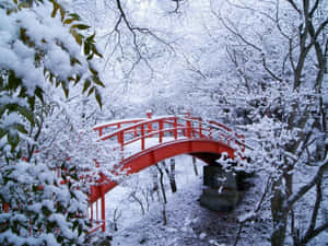 冬季雪林中的紅色拱橋 — 冬日美學 壁紙