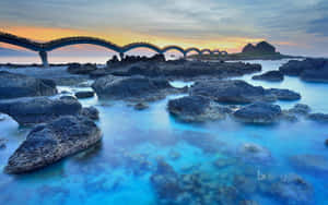 Bing 背景