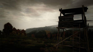 迷霧秋日森林中的木製瞭望塔，天空陰暗。 — Dayz GIF 壁紙