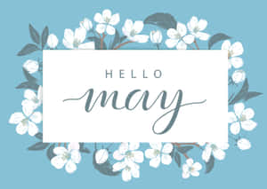 Hello May 問候卡，以白色花朵和綠色葉子點綴在藍色背景上