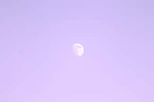 夜晚薰衣草色天空中的弦月 — 極簡美學 壁紙