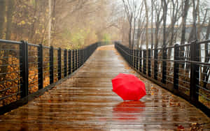 秋日森林中濕木橋上的紅色雨傘 — 雨天 壁紙