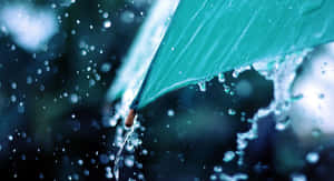 雨天中，一把青綠色雨傘在模糊的背景燈光下滴水。 — 雨 壁紙