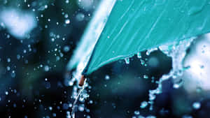 青綠色雨傘在雨中戶外場景滴下雨水。 — 雨天 壁紙