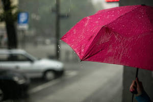 一隻手拿著粉紅色雨傘，雨水落在城市街道上。 — 雨 壁紙