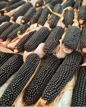收穫堆中帶有乾燥外殼的黑色玉米穗特寫。 — 4:5 壁紙