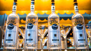 四瓶Beluga伏特加在吧檯上排成一排，身後有馬提尼酒杯。
