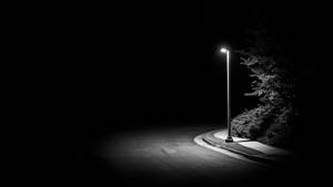 一支孤獨的路燈在夜晚照亮了彎曲的人行道和灌木叢。 — 黑白 壁紙