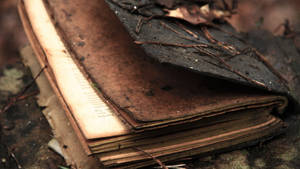 森林中佈滿苔蘚和樹枝的舊書 — 秋天 壁紙
