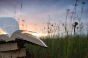 夕陽下草地上的一堆書，其中一本打開 — 經文美感 壁紙