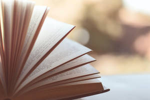 一本打開的書，書頁展開，在模糊的自然背景下被金色陽光照射。 — 桌面美學 壁紙