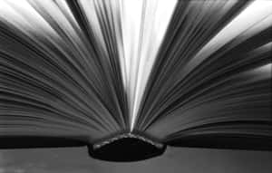 打開的書頁在黑白中像翅膀一樣展開，帶有戲劇性燈光。 — 書籍 壁紙
