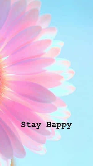 粉紅色花朵配上「Stay Happy」文字，背景為藍天 — 藍天 壁紙