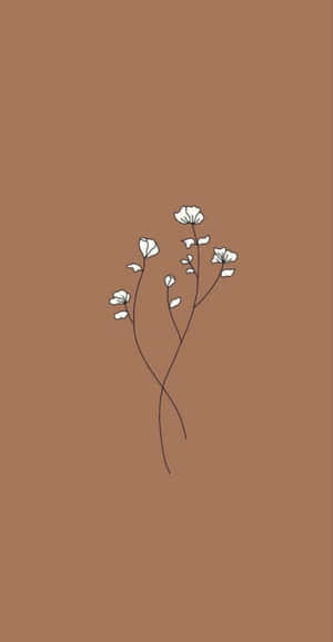 一朵白花在棕色背景上