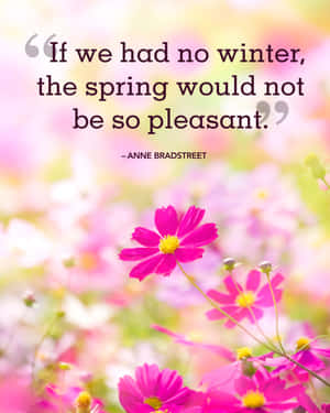 粉紅色波斯菊，附有關於冬季與春季對比的引言。 — Apple Watch Ultra 壁紙