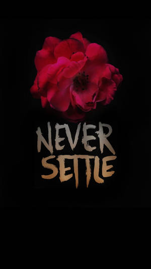 一朵紅玫瑰，上面有金色文字 never settle，背景為黑色。 — OnePlus 壁紙