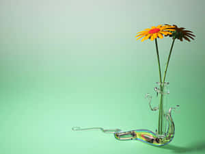 一個天鵝形玻璃花瓶，插著一朵亮黃色和一朵褪色的棕色雛菊，放在薄荷綠色上。 — 花系美學 壁紙