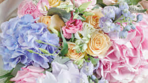 一束色彩繽紛的粉彩花朵，包括玫瑰和繡球花。 — 花系美學 壁紙
