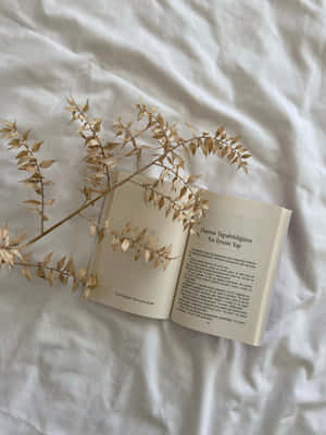 打開的土耳其語書籍和乾燥植物在白色床單上。