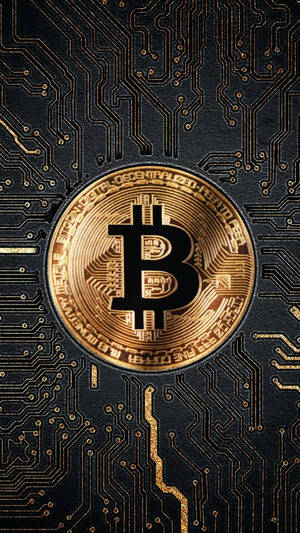 金色比特幣硬幣和帶有金色電路的黑色電路板。