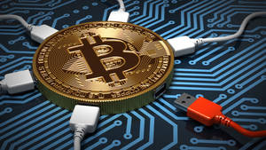 金色比特幣硬幣在電路板上，USB線連接。