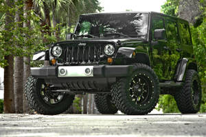 黑色Jeep Wrangler停泊在柏油路上，背景有棕櫚樹 — 汽車 壁紙