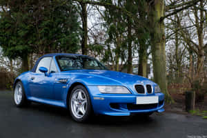 一架藍色BMW Z8跑車停泊在樹木附近的潮濕道路上。 — MacBook Pro M4 壁紙