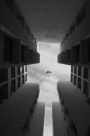 一架飛機在鮮明的黑白場景中飛過高聳的混凝土建築之間。 — 黑白 壁紙