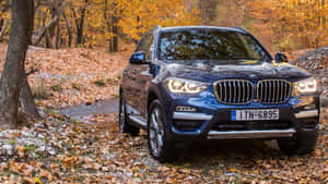 秋天落葉覆蓋的森林小徑上的藍色BMW X3 SUV。 — 平治 C300 壁紙