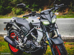 黑色和銀色Yamaha MT-15電單車停泊在路邊草地上，後面有綠樹。 — 機車 壁紙