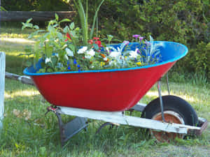 一架紅色和藍色的手推車，在草地上裝滿了野花。 — 4:3 壁紙