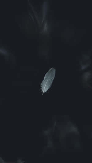 一根白色羽毛懸浮在黑暗空間中，帶有縷縷煙霧般的圖案。 — 黑白藝術 壁紙